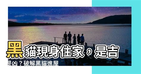 黑貓進家門|【黑貓來家門口】黑貓來家門口？吉凶徵兆一次搞清楚！ – 最新新聞